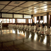 il momento del REI saluto