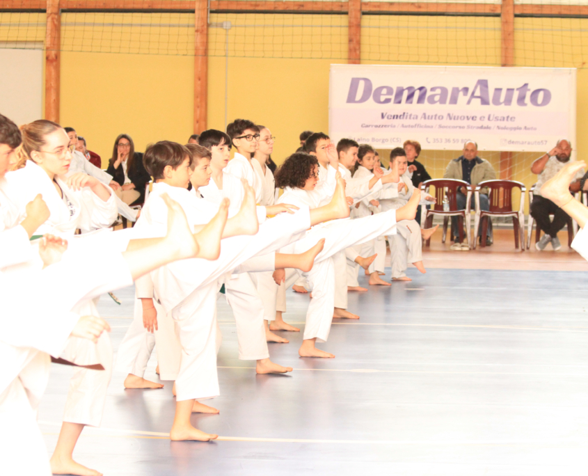 stage karate Laino 2025-82